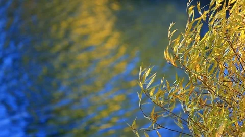 Background of Beautiful Fall colors reflected in Spooner Lake Stock Footage 97021853