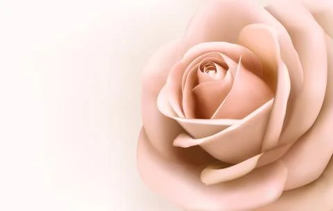 Background with beautiful pink rose. vector Stock Illustration