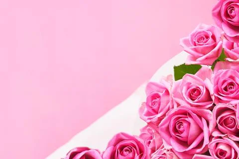 Background of beautiful pink roses with copy space Stock Photos