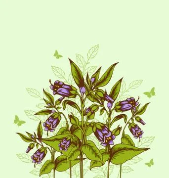 Background with bellflower Stock Illustration