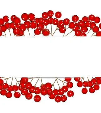 Background with  a berry wild ash Stock Illustration