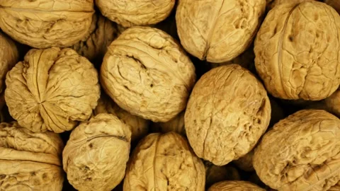 Background of big walnuts in shell, dolly shot Видео 181598016