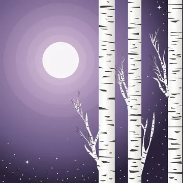 Background with birch trees in a violet night with moon Illustrazione stock