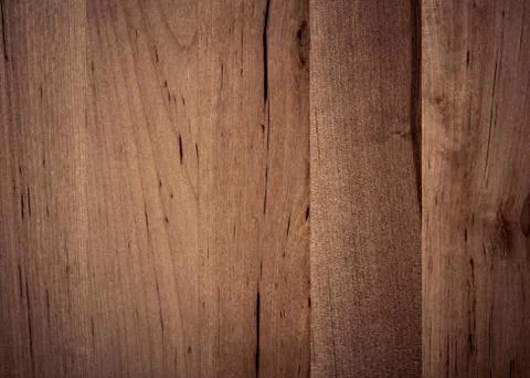 Background of Birch wood surface Stock Photos