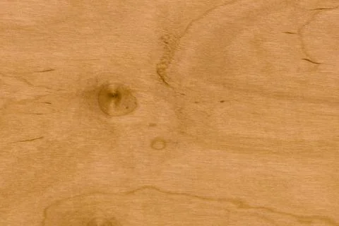 Background of Birch wood surface Stock Photos
