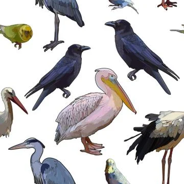Background with birds 스톡 일러스트
