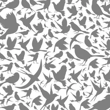 Background of birds3 Stock Photos