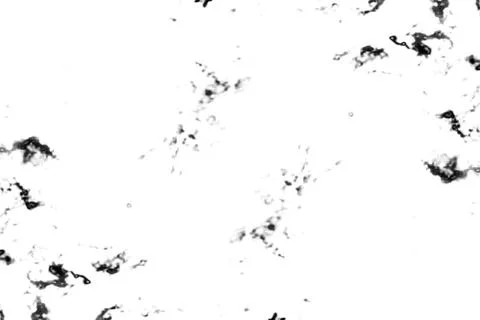 Background of black and white. Abstract pattern of monochrome elements Stock Illustration