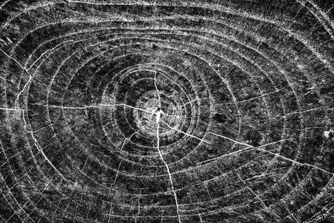 Background of black and white. Abstract monochrome elements texture Stock Illustration
