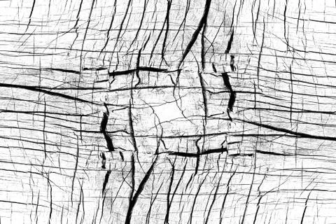 Background of black and white. Abstract pattern of monochrome elements Illustrazione stock