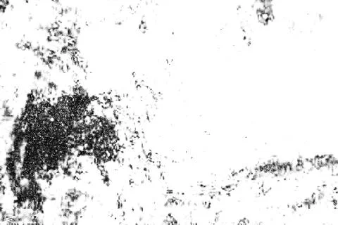 Background of black and white. Abstract pattern of monochrome elements textur Stock Illustration