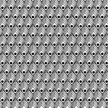 Background black and white feathers pattern vector design Stock Illustration