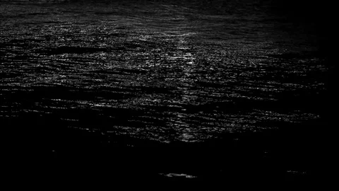 Background of Black and White Lights Water Sparkle 스톡 동영상 92109803