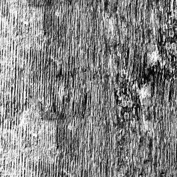 Background of black and white texture. Abstract pattern of monochrome element Foto stock