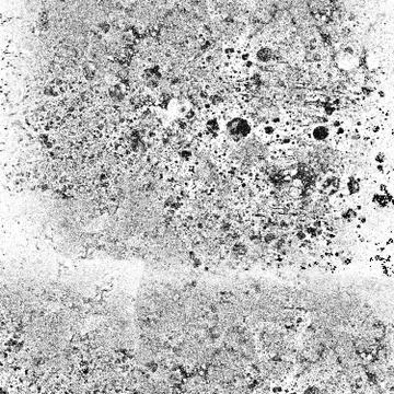 Background of black and white texture. Abstract pattern of monochrome element Foto stock