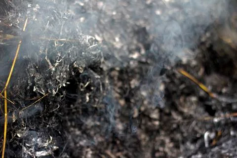 Background of black burnt grass and ash. Gray openwork smoke with blue streaks. Stock Photos