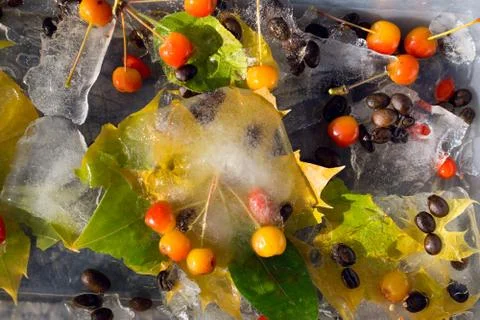 Background of  black coffee beans, red small apple, berry of goji and yellow  Stock Photos