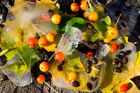 Background of  black coffee beans, red small apple, berry of goji and yellow  Stock Photos