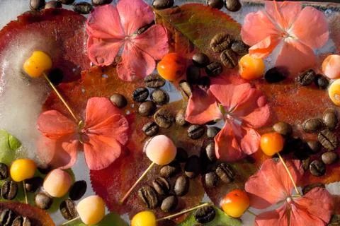 Background of  black coffee beans, red small apple, flower of pelargonium and Stock Photos