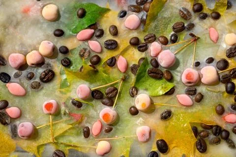 Background of  black coffee beans, red small apple, berry of goji and yellow  Stock Photos