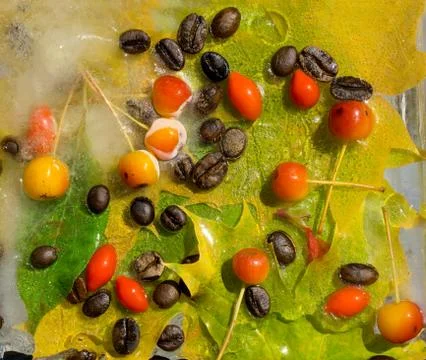 Background of  black coffee beans, red small apple, berry of goji and yellow  Stock Photos
