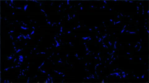 Background black Stock Footage 845411