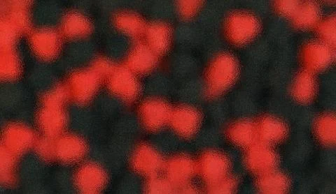Background from black, red spots through glass. Stock Photos