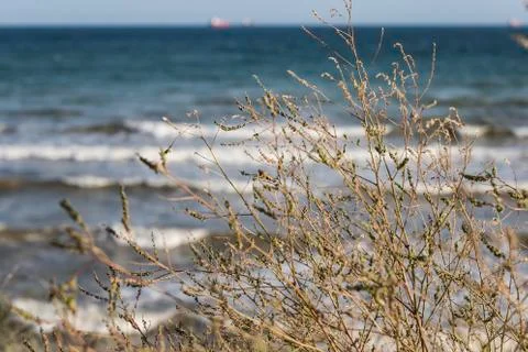 Background of the Black Sea Stock Photos