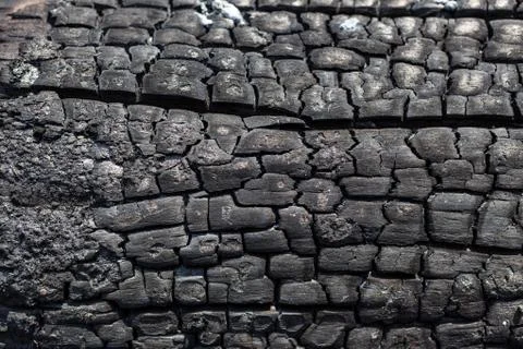 Background from a black surface of the burned charred wooden board Stock Photos