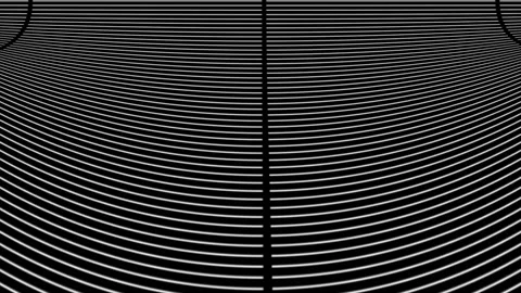 Background black white  (25) Stock Footage 195079451