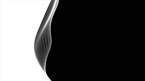 Background black white  (54) Stock-Footage 195080777