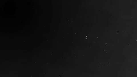 Background black white  (58) Stock Footage 195080837