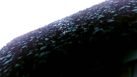 Background  Black White Motion Graphics Animated Background 05 Stock-Footage 195927216