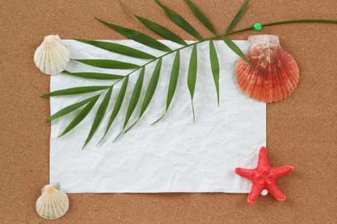 Background with blank crumpled paper, seashells, palm leave and seashell Foto stock