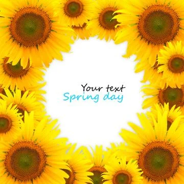 Background Blossom Stock Illustration