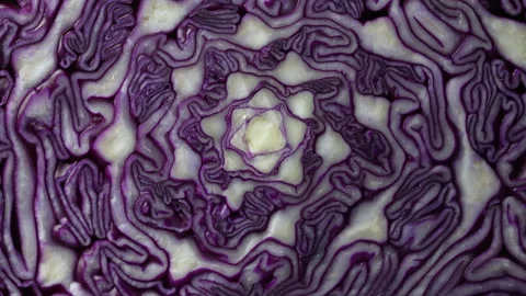 Background of blue cabbage. Texture and pattern of raw purple cabbage, rotate Stock Footage 229569041