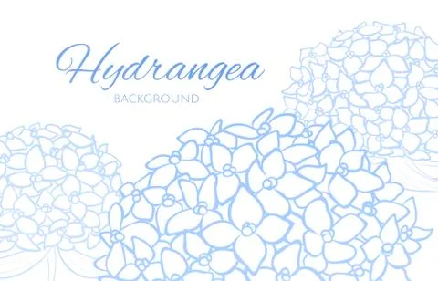 Background with blue outline hydrangea, clip art Stock Illustration