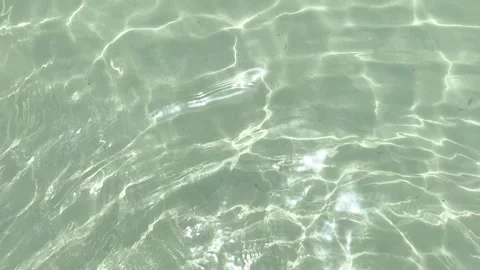 Background with blue ripples and waves on the water surface. Waves reflecting li Stock Footage 334170416