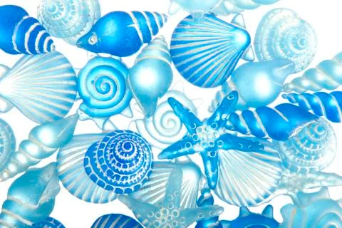 Background of blue shells Stock Photos