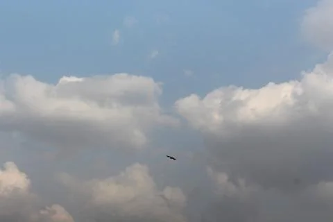 Background with blue sky cloud Stock Photos