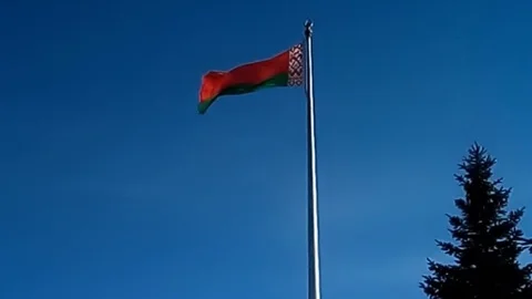 On a background of blue sky flies flag of Belarus Stock Footage 105921764