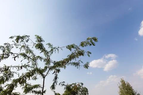 Background of the blue sky. Stock Photos