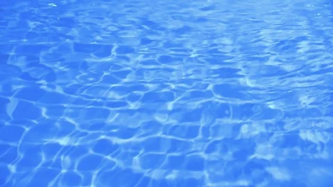 The background is a blue surface of sea water Stock Footage 97794073