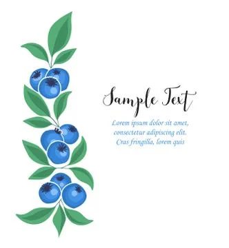 Background of blueberries fruit Stock Illustration