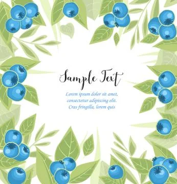 Background of blueberries fruit Stock Illustration