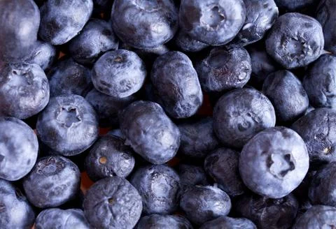 Background of blueberries Stock Photos