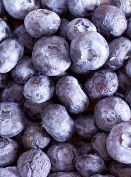Background of blueberries Stock Photos