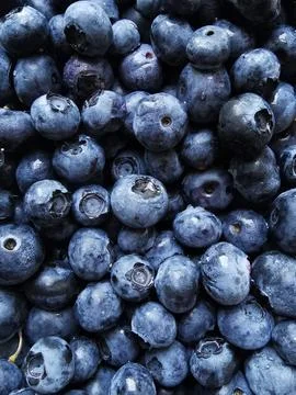 Background with blueberries Stock Photos