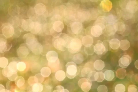 Background blur bokeh. Stock Photos