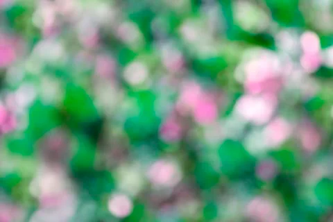 Background in blur, multicolor for wallpaper Stock Photos